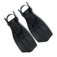 Turtle Fins