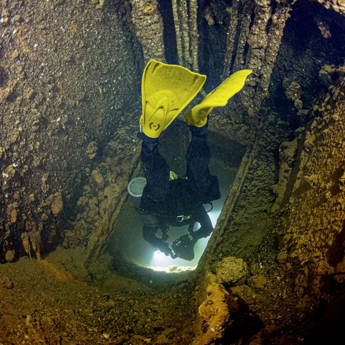 hollis-lt-yellow-in-action